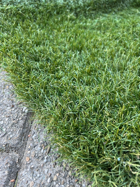 Coupon C13 | 45mm | Afm. 1,8m x 1,83m