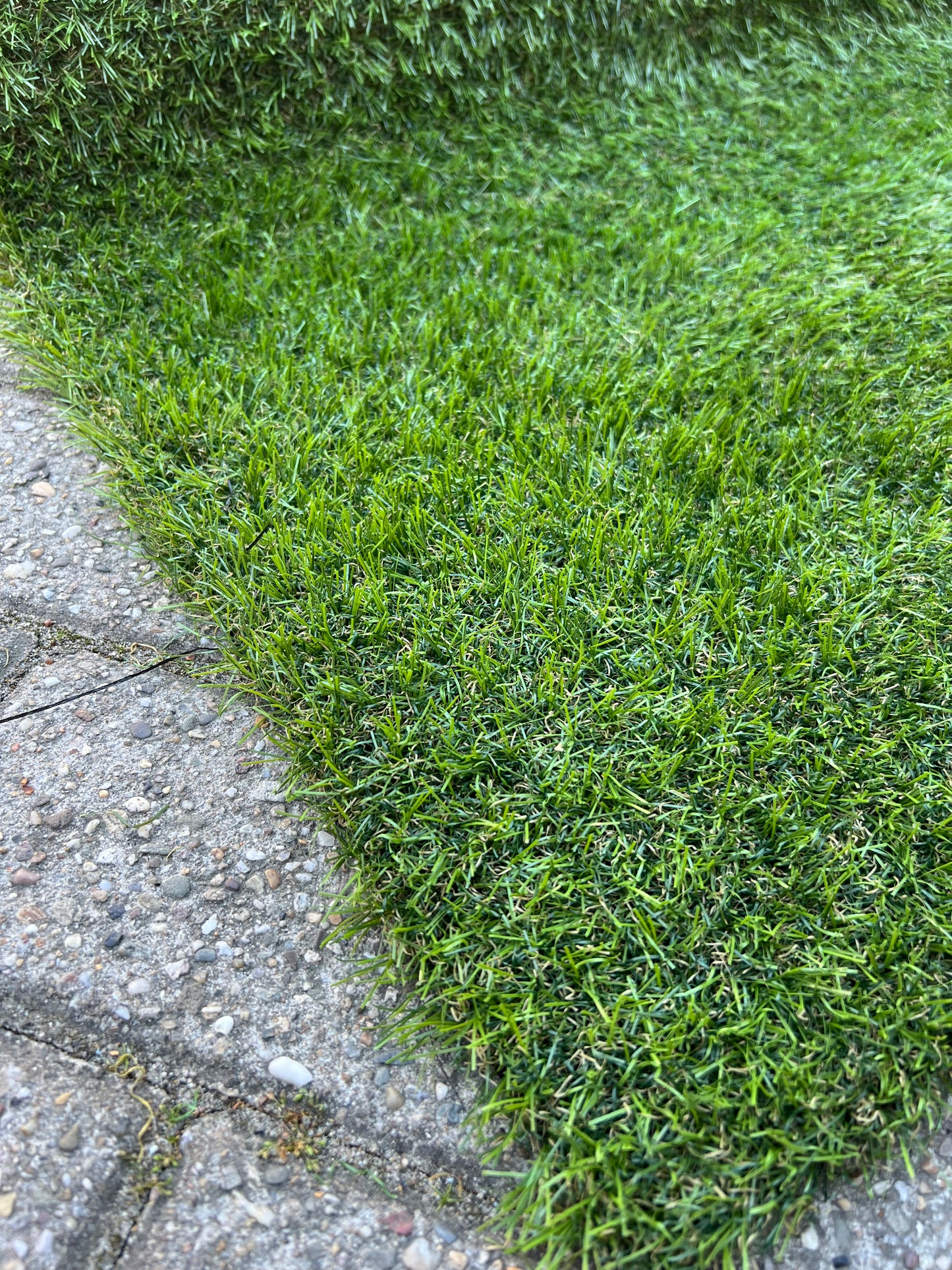 Coupon C16 | 28mm | Afm. 2m x 2m