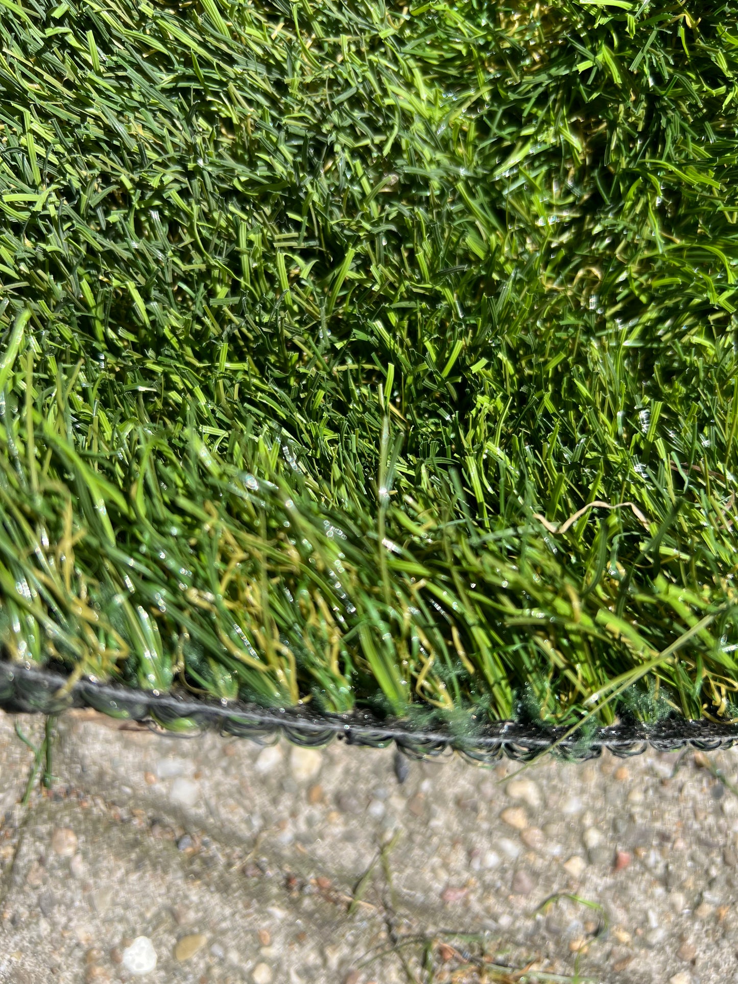 Coupon C29 | 42mm | Afm. 3,1m x 1,8m