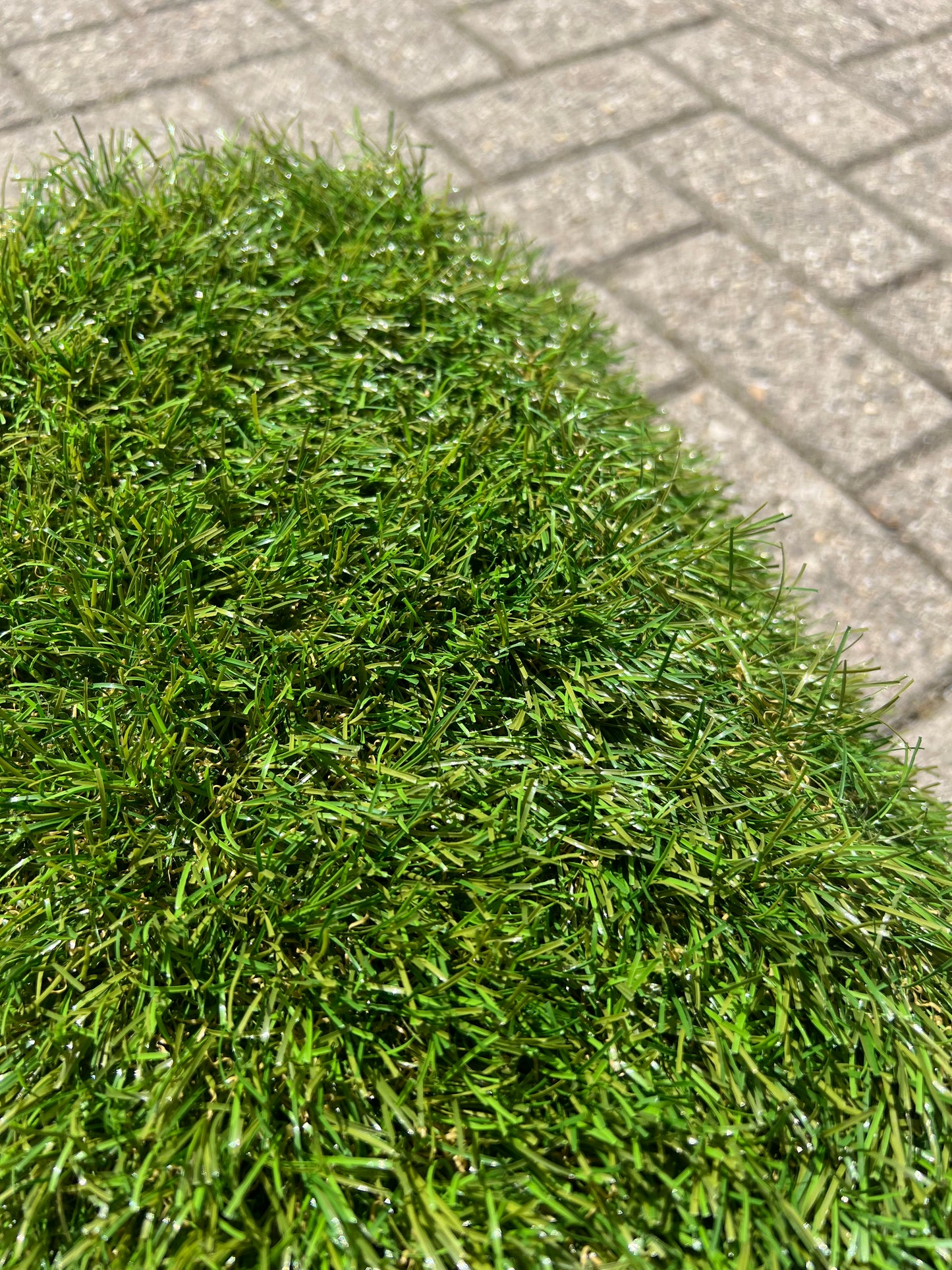 Coupon C56 | 40mm | Afm. 2,05m x 1m