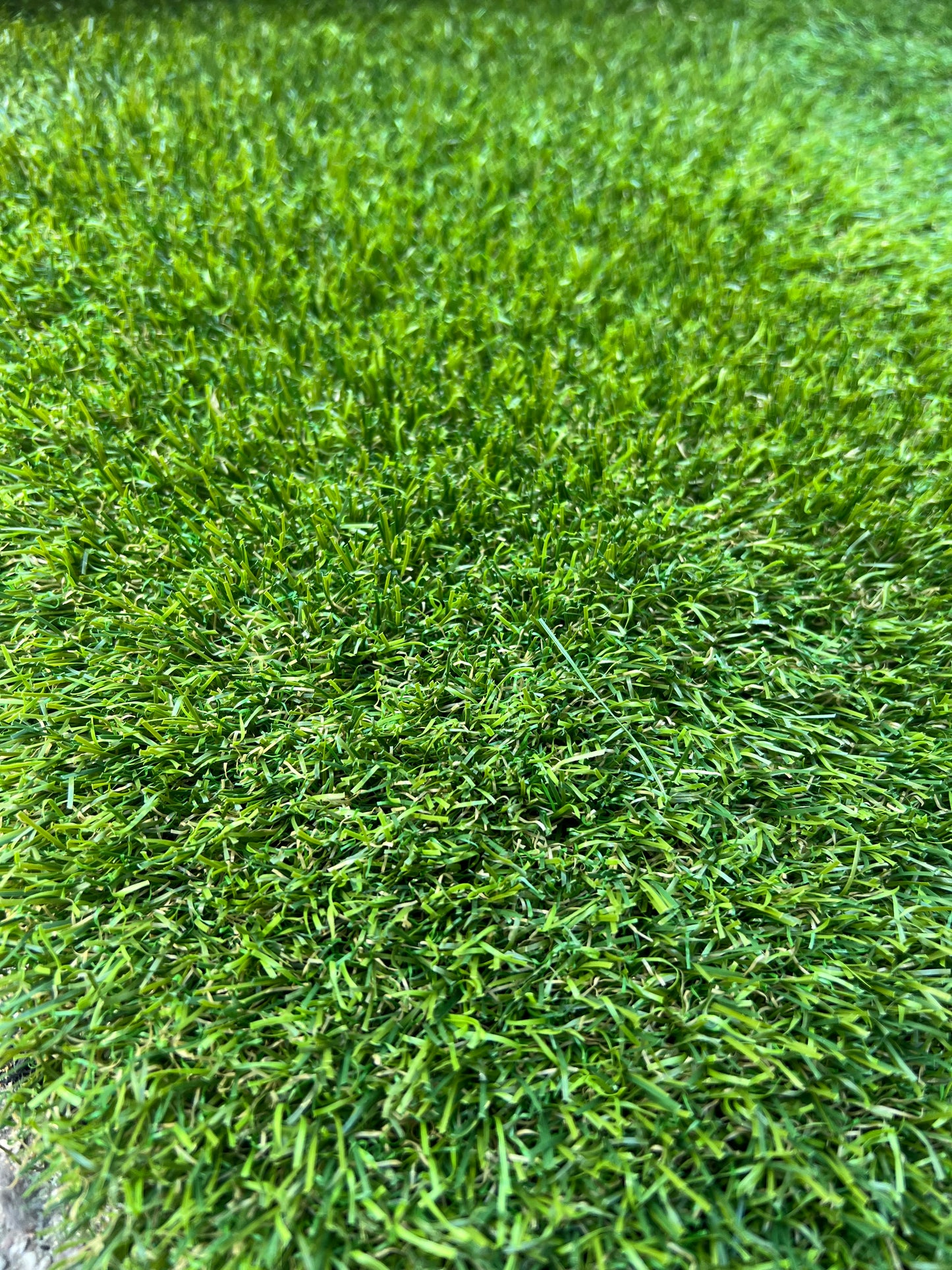 Coupon C24 | 40mm | Afm. 3m x 2,1m