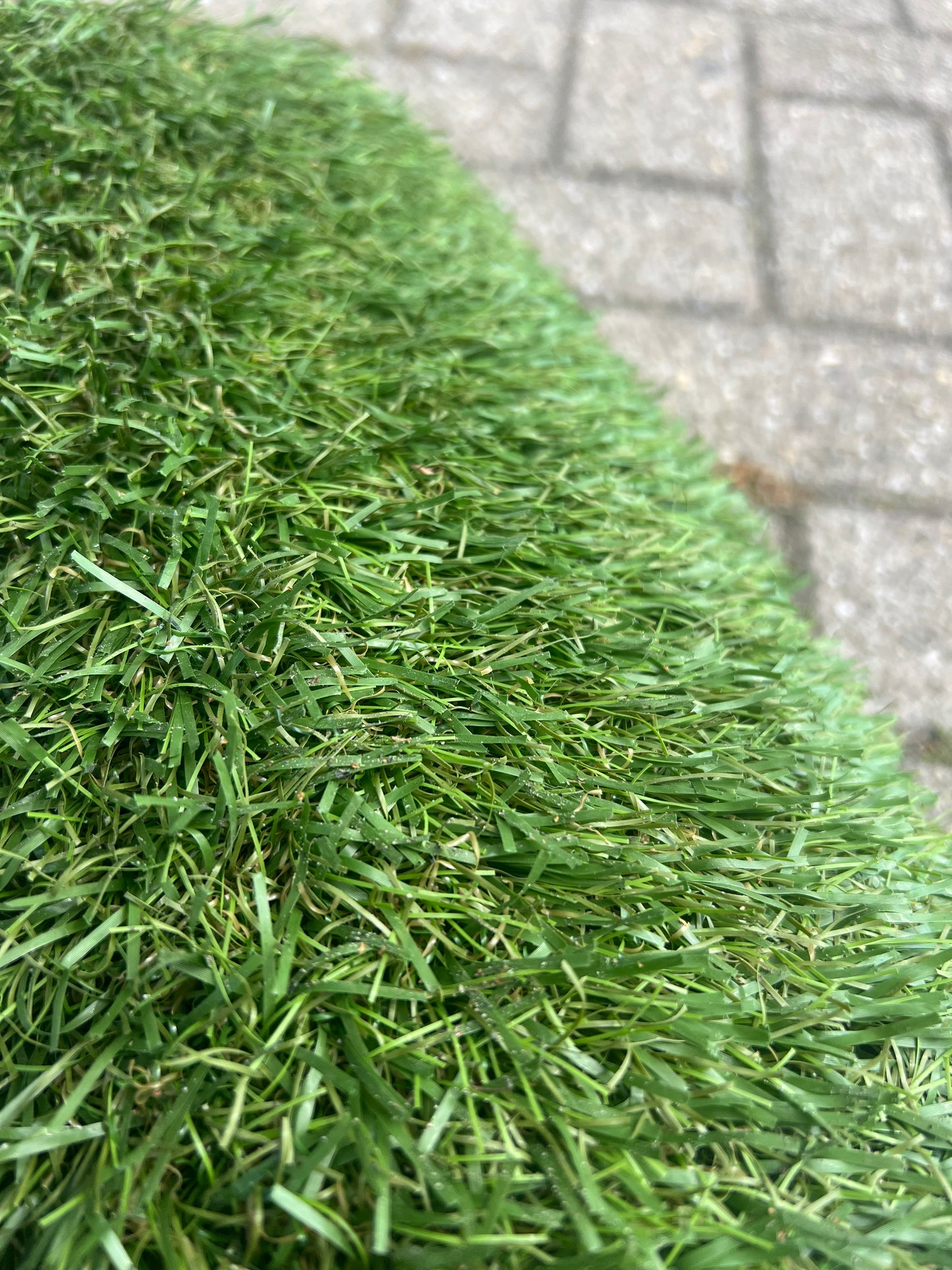 Coupon C46 | 42mm | Afm. 1,10m x 0,75m