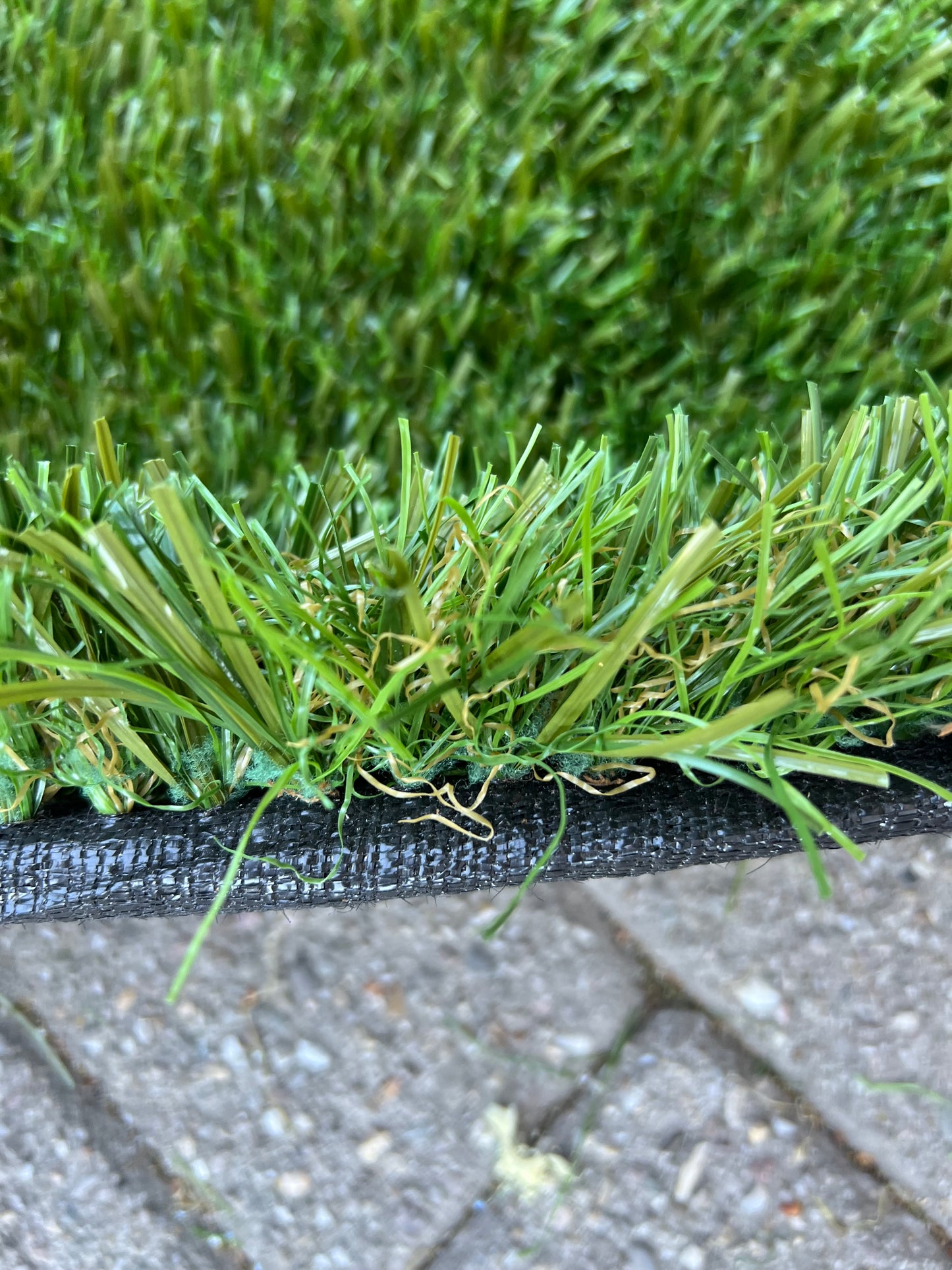 Coupon C21 | 48mm | Afm. 2m x 3,1m