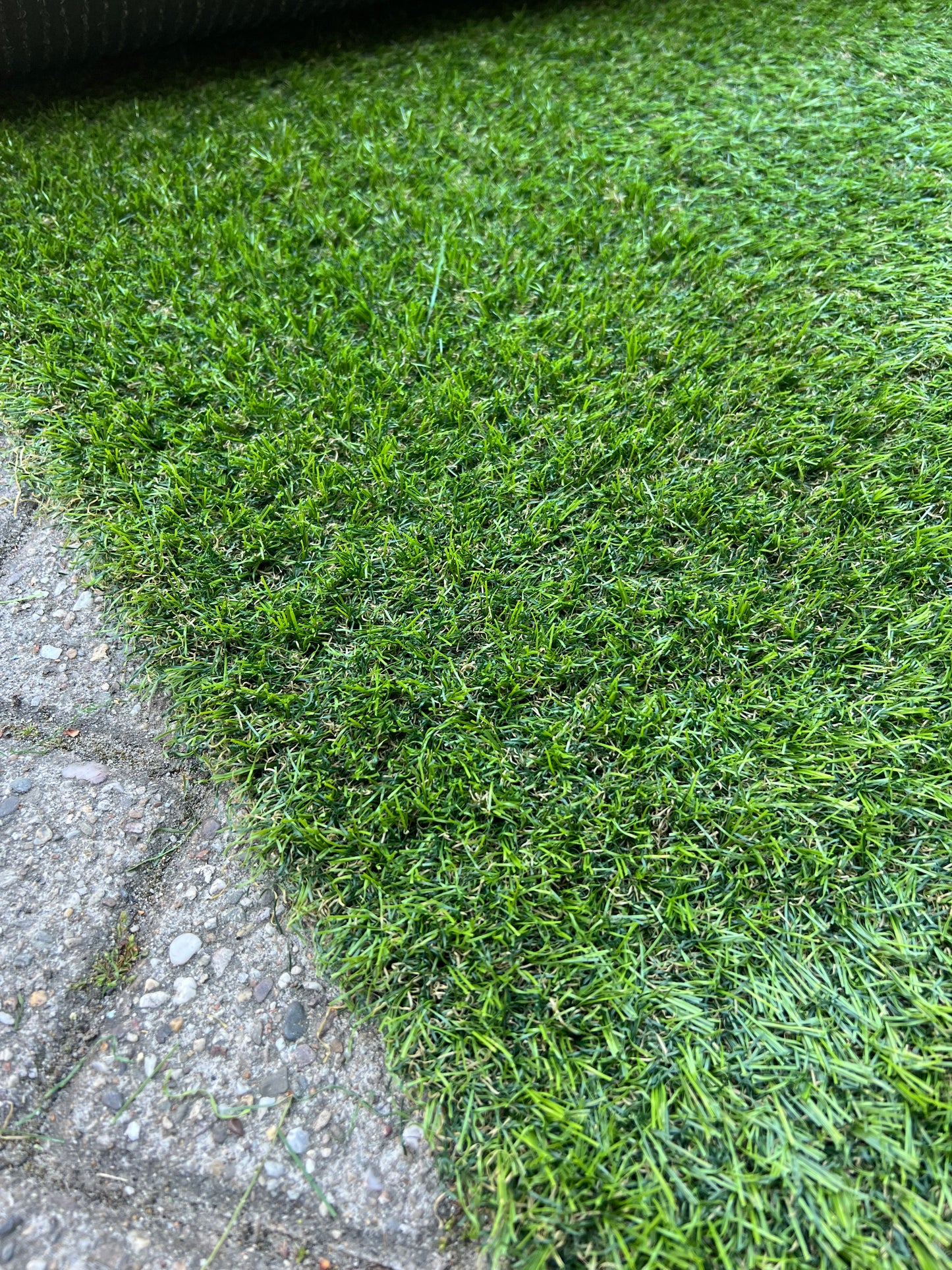 Coupon C22 | 28mm | Afm. 7,65m x 2,18m